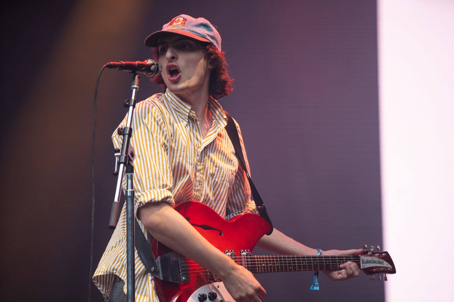 Audience at a Finn Wolfhard concert